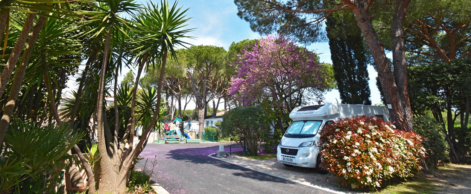 Emplacement camping du camping